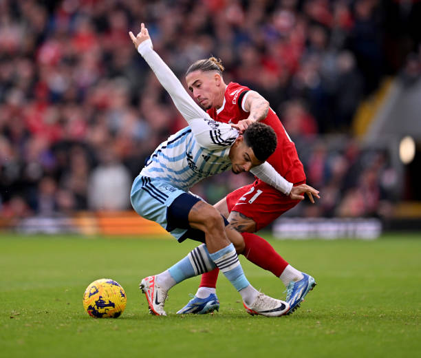 数据展示 数据展示