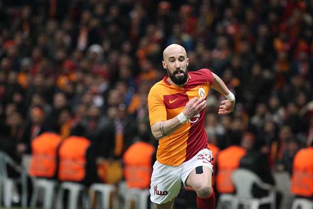 即如何在不 即如何在不