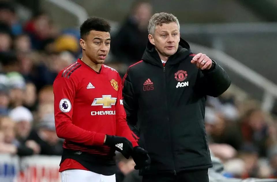 国羽毛球增 国羽毛球增